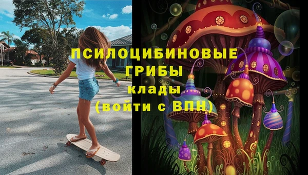 спайс Алзамай